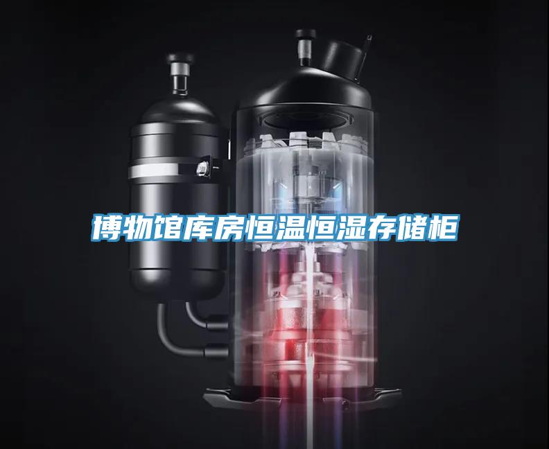 博物館庫房恒溫恒濕存儲(chǔ)柜