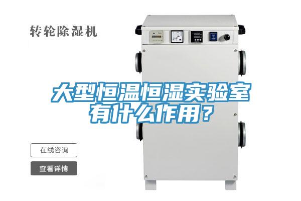 大型恒溫恒濕實(shí)驗(yàn)室有什么作用？