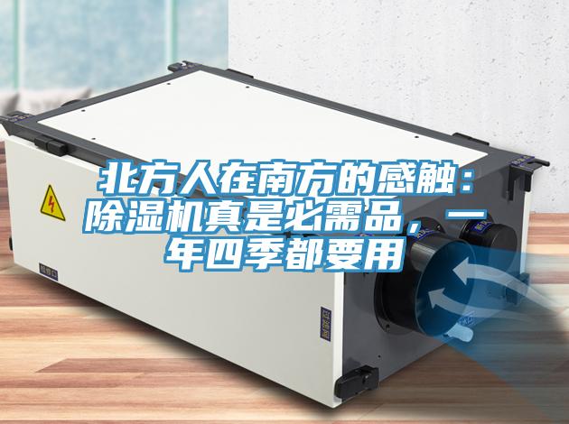 北方人在南方的感觸：除濕機真是必需品，一年四季都要用
