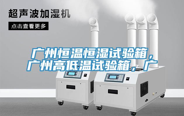 廣州恒溫恒濕試驗(yàn)箱，廣州高低溫試驗(yàn)箱，廣