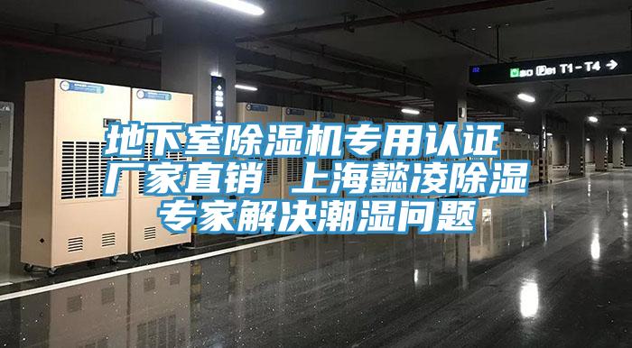 地下室除濕機(jī)專(zhuān)用認(rèn)證 廠(chǎng)家直銷(xiāo) 上海懿凌除濕專(zhuān)家解決潮濕問(wèn)題
