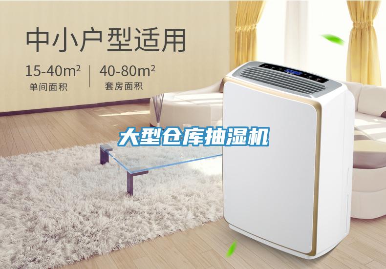 大型倉(cāng)庫抽濕機(jī)