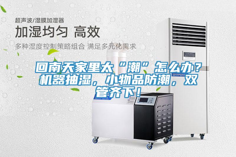回南天家里太“潮”怎么辦？機器抽濕，小物品防潮，雙管齊下！