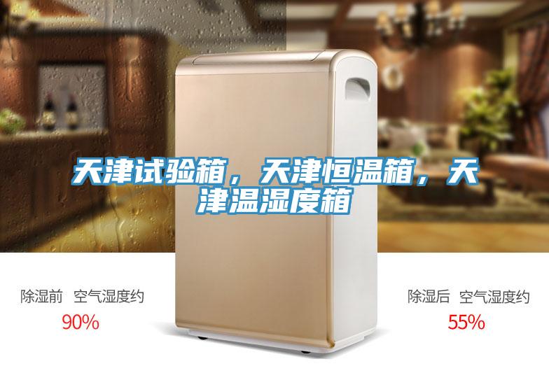 天津試驗箱，天津恒溫箱，天津溫濕度箱