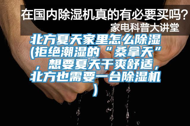 北方夏天家里怎么除濕(拒絕潮濕的“桑拿天”，想要夏天干爽舒適，北方也需要一臺除濕機)