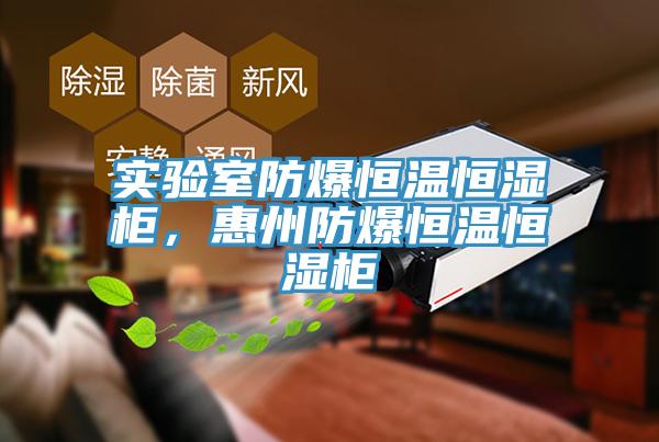 實驗室防爆恒溫恒濕柜，惠州防爆恒溫恒濕柜