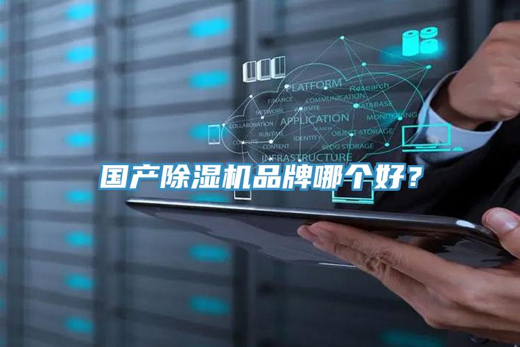 國產除濕機品牌哪個好？