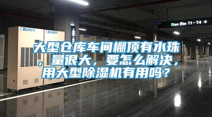 大型倉(cāng)庫車間棚頂有水珠，量很大，要怎么解決，用大型除濕機(jī)有用嗎？