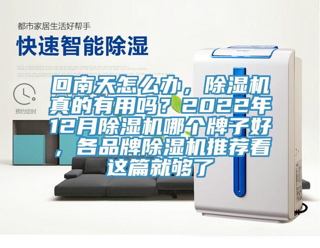 回南天怎么辦，除濕機真的有用嗎？2022年12月除濕機哪個牌子好，各品牌除濕機推薦看這篇就夠了