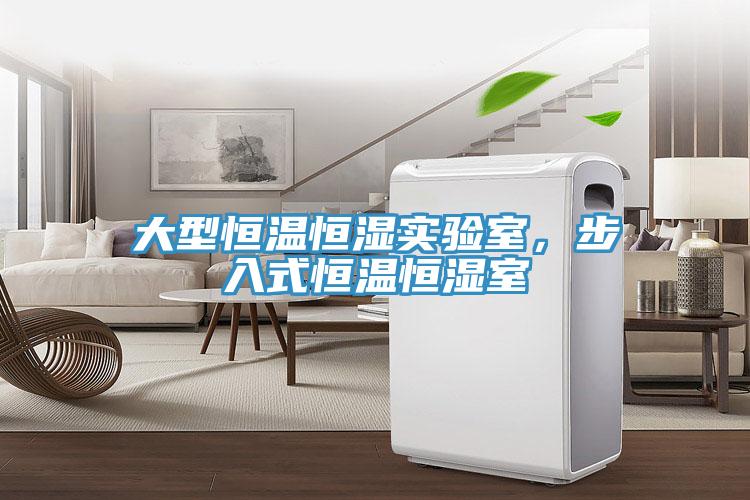 大型恒溫恒濕實(shí)驗(yàn)室，步入式恒溫恒濕室