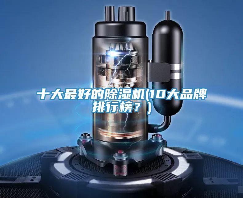 十大最好的除濕機(10大品牌排行榜？)