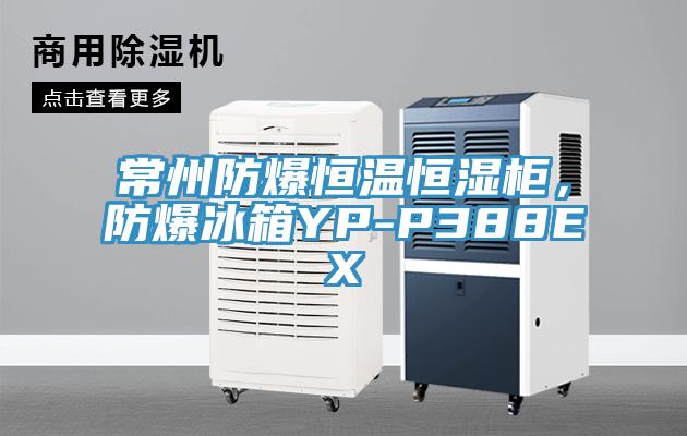 常州防爆恒溫恒濕柜，防爆冰箱YP-P388EX