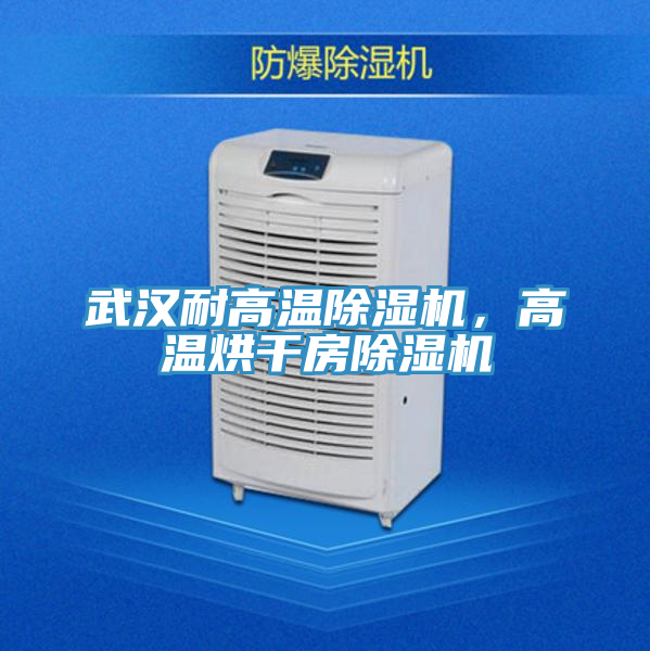 武漢耐高溫除濕機，高溫烘干房除濕機