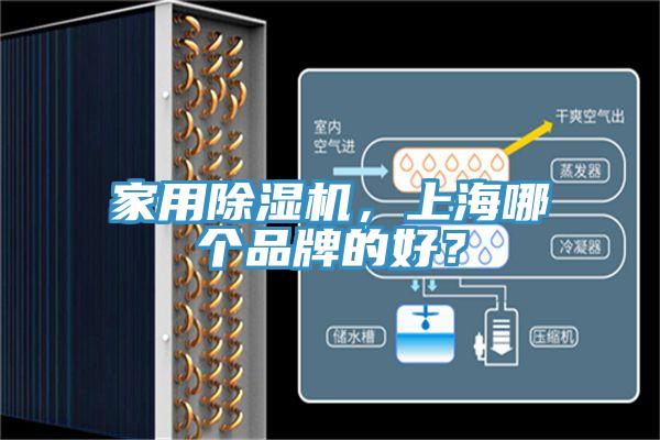 家用除濕機，上海哪個品牌的好？