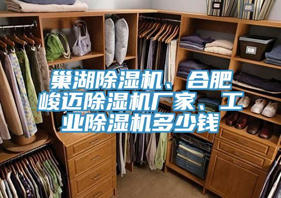 巢湖除濕機、合肥峻邁除濕機廠家、工業除濕機多少錢