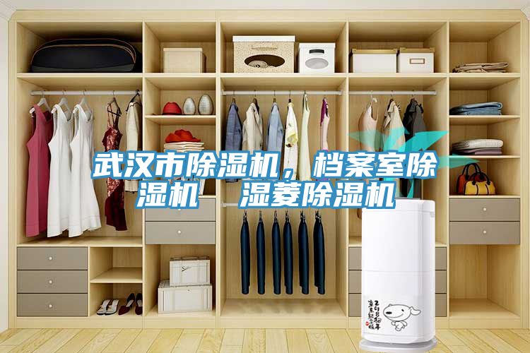 武漢市除濕機，檔案室除濕機  濕菱除濕機