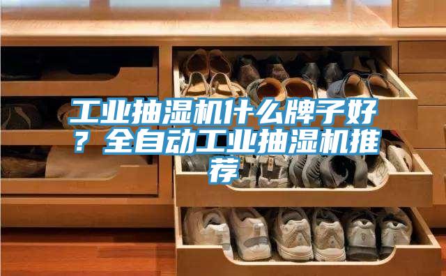 工業抽濕機什么牌子好？全自動工業抽濕機推薦