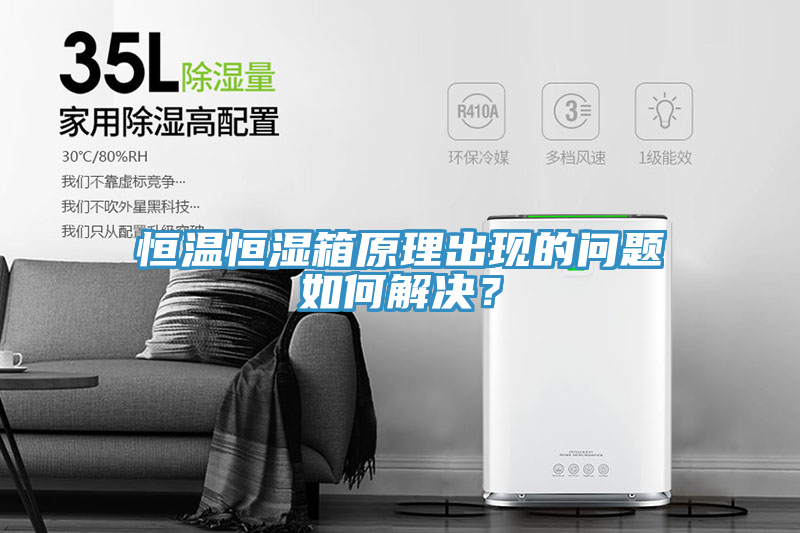恒溫恒濕箱原理出現的問題如何解決？