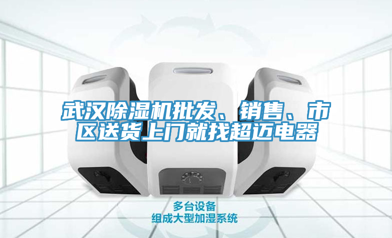 武漢除濕機批發、銷售、市區送貨上門就找超邁電器