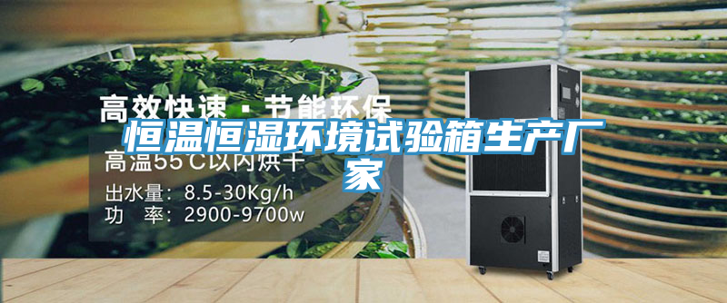 恒溫恒濕環(huán)境試驗箱生產(chǎn)廠家