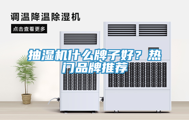 抽濕機(jī)什么牌子好？熱門(mén)品牌推薦