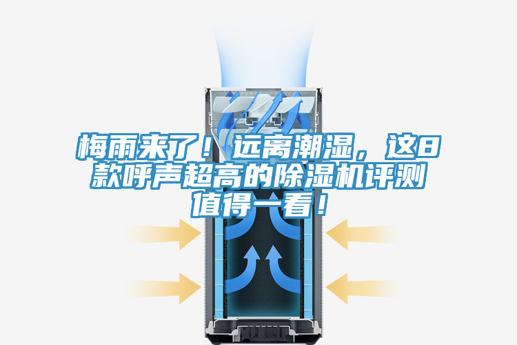 梅雨來了！遠(yuǎn)離潮濕，這8款呼聲超高的除濕機(jī)評測值得一看！