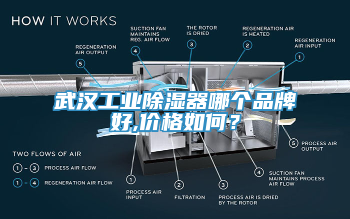 武漢工業除濕器哪個品牌好,價格如何？