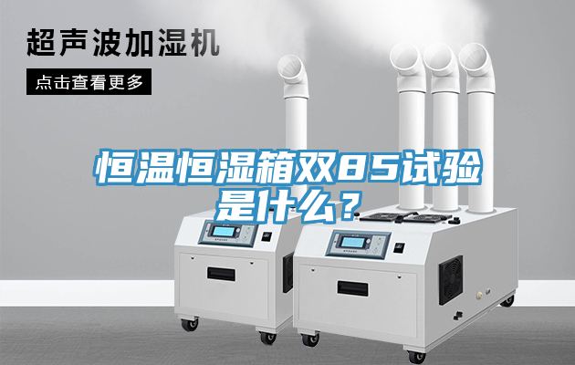 恒溫恒濕箱雙85試驗是什么？