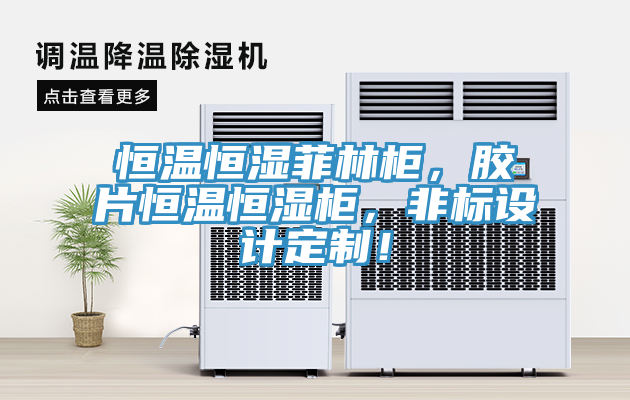 恒溫恒濕菲林柜，膠片恒溫恒濕柜，非標(biāo)設(shè)計(jì)定制！