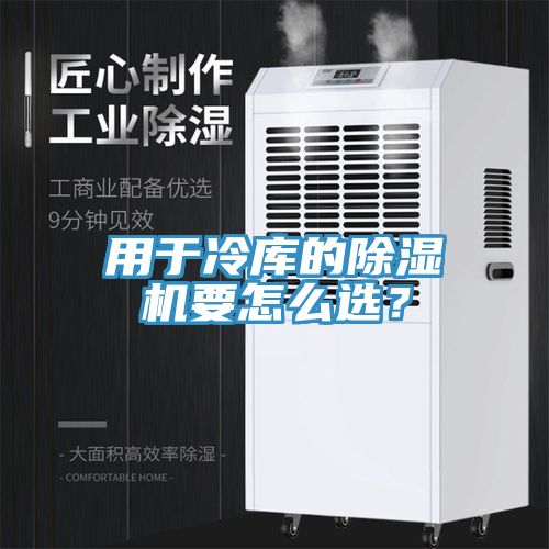 用于冷庫的除濕機要怎么選？