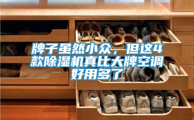 牌子雖然小眾，但這4款除濕機(jī)真比大牌空調(diào)好用多了
