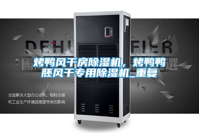 烤鴨風(fēng)干房除濕機(jī)，烤鴨鴨胚風(fēng)干專(zhuān)用除濕機(jī)_重復(fù)
