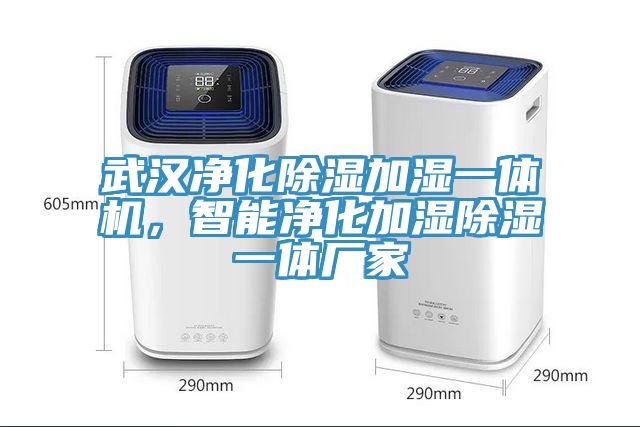 武漢凈化除濕加濕一體機，智能凈化加濕除濕一體廠家