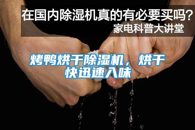 烤鴨烘干除濕機(jī)，烘干快迅速入味