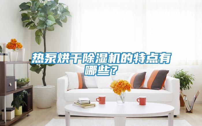 熱泵烘干除濕機的特點有哪些？