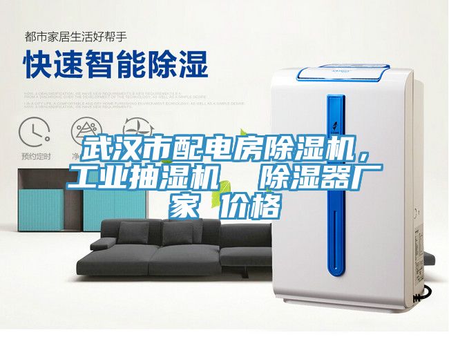 武漢市配電房除濕機，工業抽濕機  除濕器廠家 價格