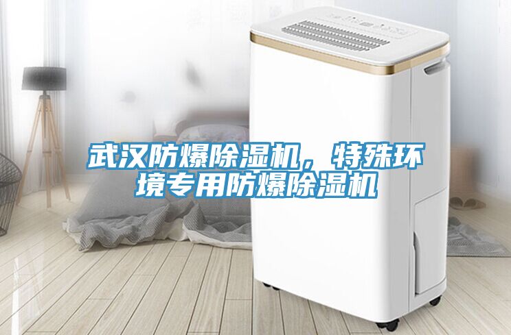 武漢防爆除濕機，特殊環境專用防爆除濕機