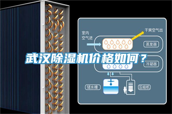 武漢除濕機價格如何？