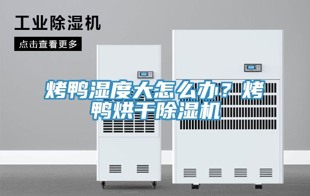 烤鴨濕度大怎么辦？烤鴨烘干除濕機(jī)