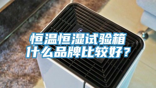 恒溫恒濕試驗(yàn)箱什么品牌比較好？