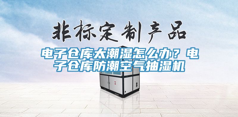電子倉庫太潮濕怎么辦？電子倉庫防潮空氣抽濕機