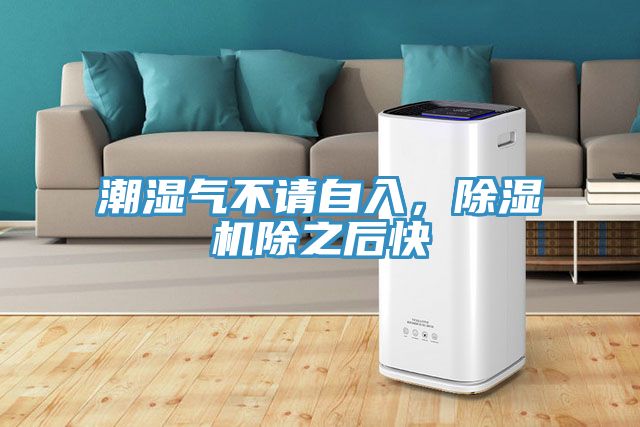 潮濕氣不請自入，除濕機除之后快