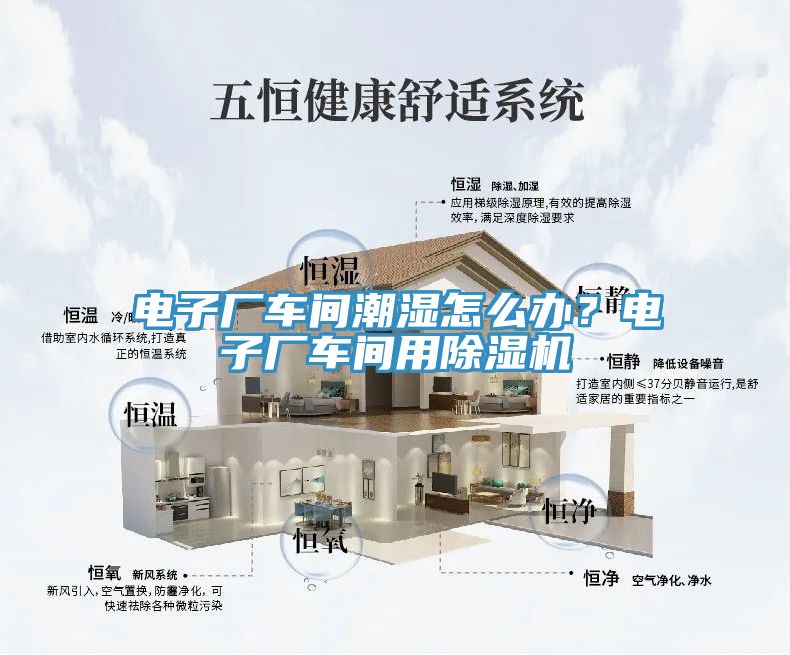 電子廠車間潮濕怎么辦？電子廠車間用除濕機