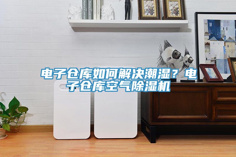 電子倉庫如何解決潮濕？電子倉庫空氣除濕機