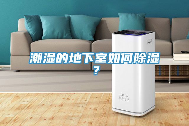 潮濕的地下室如何除濕？