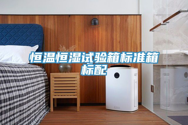 恒溫恒濕試驗箱標(biāo)準箱標(biāo)配