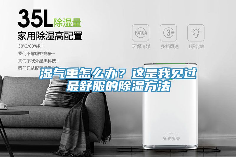 濕氣重怎么辦？這是我見(jiàn)過(guò)最舒服的除濕方法
