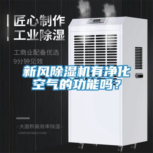 新風除濕機有凈化空氣的功能嗎？