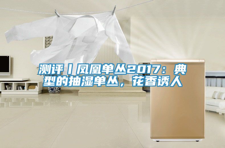 測(cè)評(píng)丨鳳凰單叢2017：典型的抽濕單叢，花香誘人