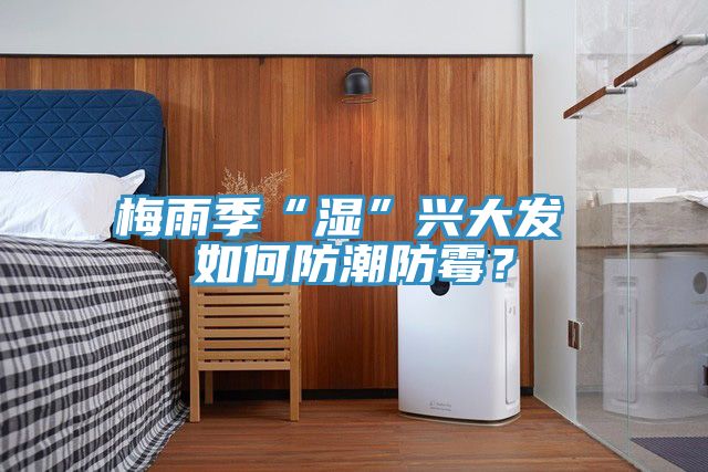 梅雨季“濕”興大發 如何防潮防霉？